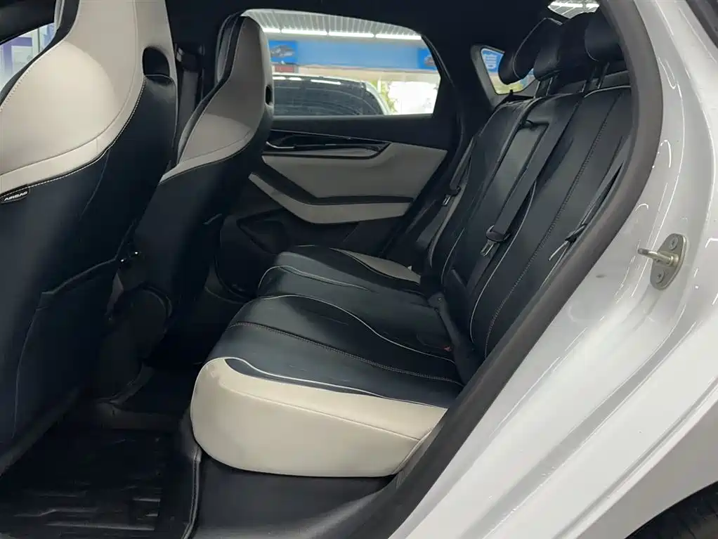 BYD Qin PLUS 2021 DM-i 120KM Premium фото 13