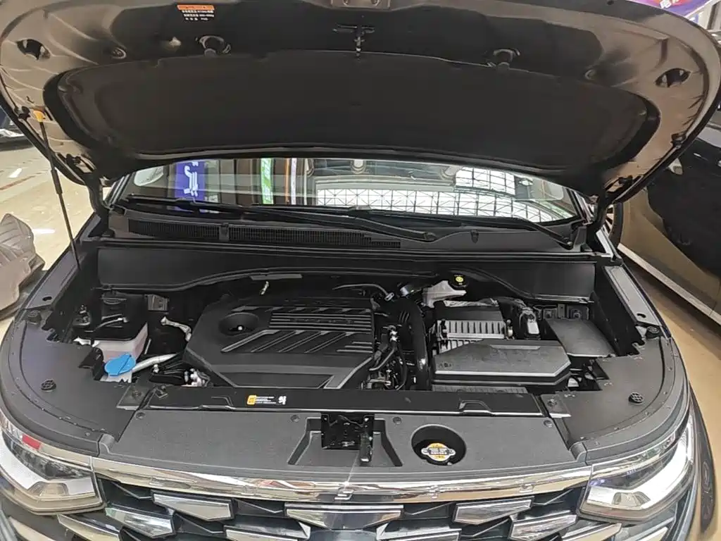 Photo 20 - Hyundai Custo
