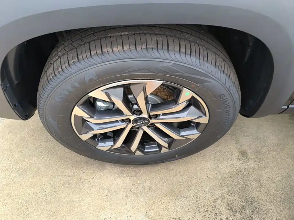 Haval Big Dog 2026 2026 Model 1.5T High Configuration