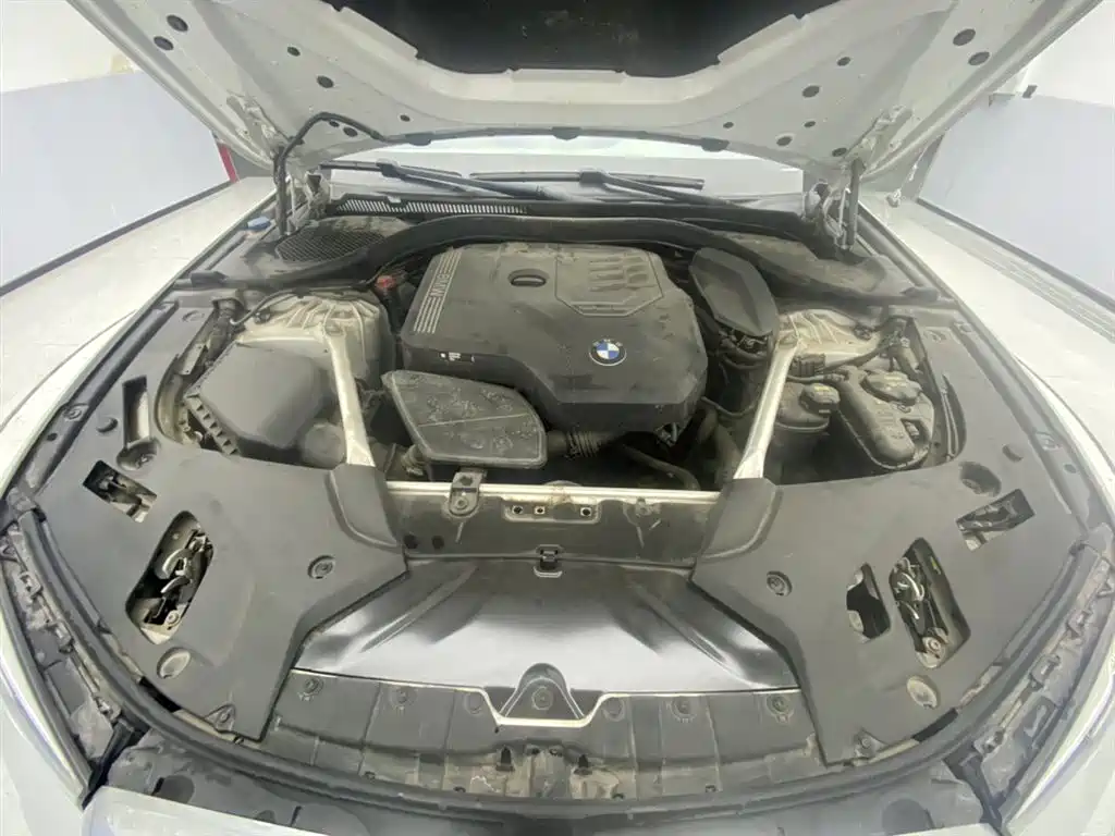BMW 5 Series 2023 530Li Leading M Sport Package фото 12