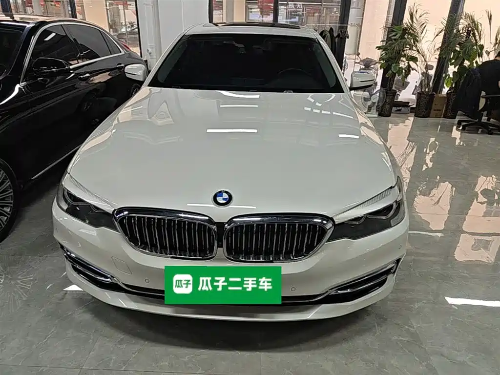 BMW 5 Series 2020 525Li Luxury Package фото 3