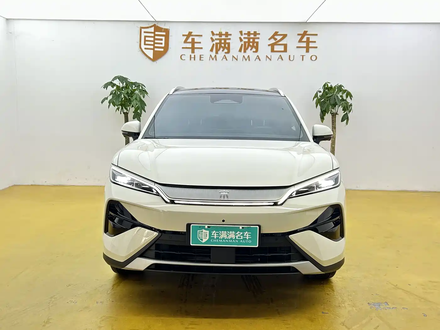 BYD Song Ultra 2026 2026 Model Pure Electric 270kW