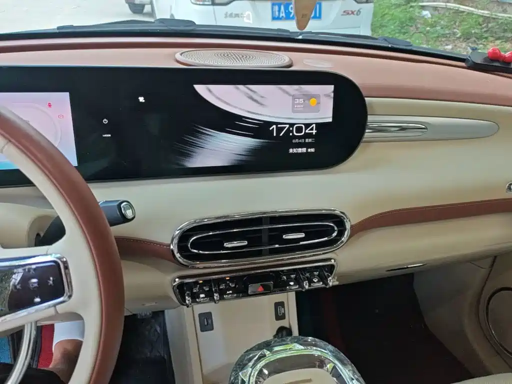 Ora Ballet Cat 2024 2023 401km Premium Model