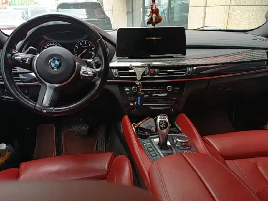 Photo 12 - BMW X6