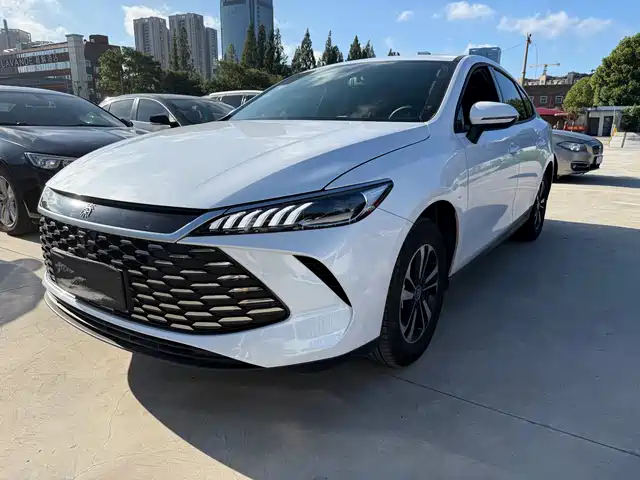 BYD Qin PLUS DM-i 210KM, Актив