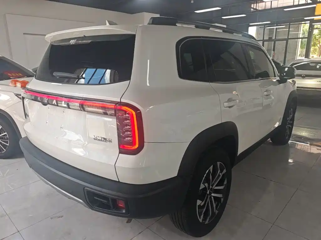 Haval Big Dog 2025 2024 1.5T DCT Border Collie Edition