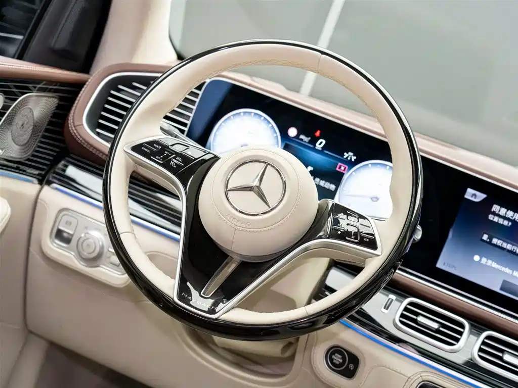 Mercedes-Benz Maybach GLS 2024 GLS 480 4MATIC фото 12