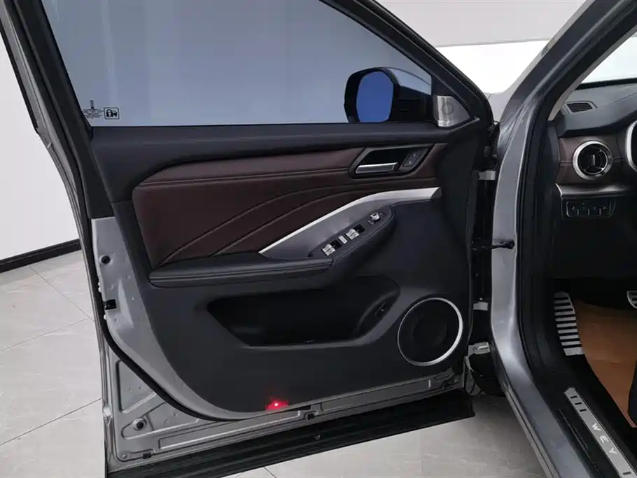 WEI PAI WEI BRAND VV6