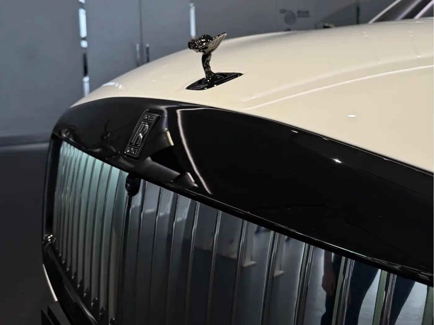 Rolls-Royce Spectre фото 14