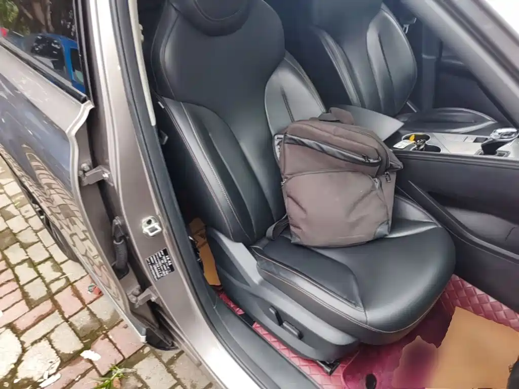 Photo 25 - Roewe RX5