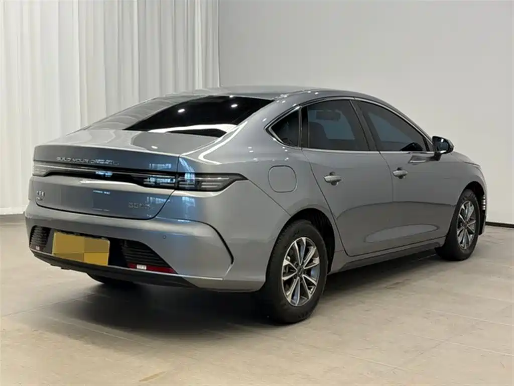 BYD Destroyer 05 2024 Glory Edition DM-i 55KM Luxury фото 6