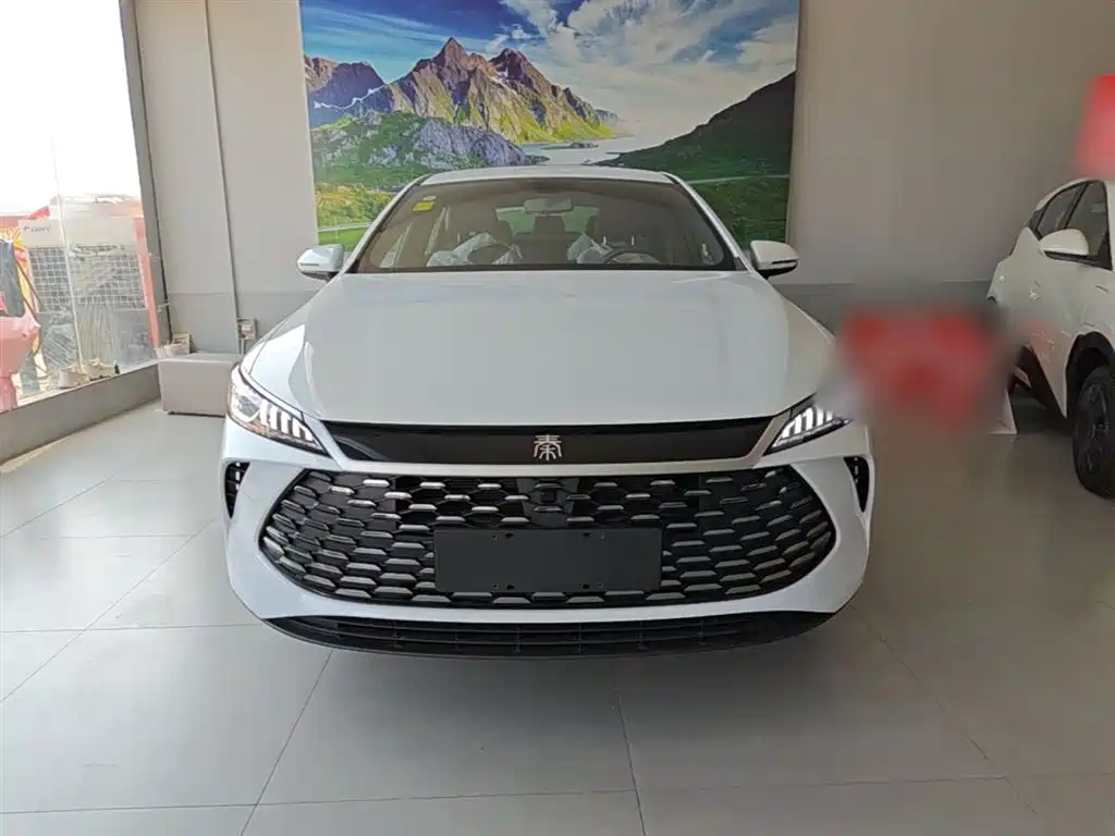 BYD Qin PLUS 2026 DM-i Smart Edition 128KM Progressive фото 3