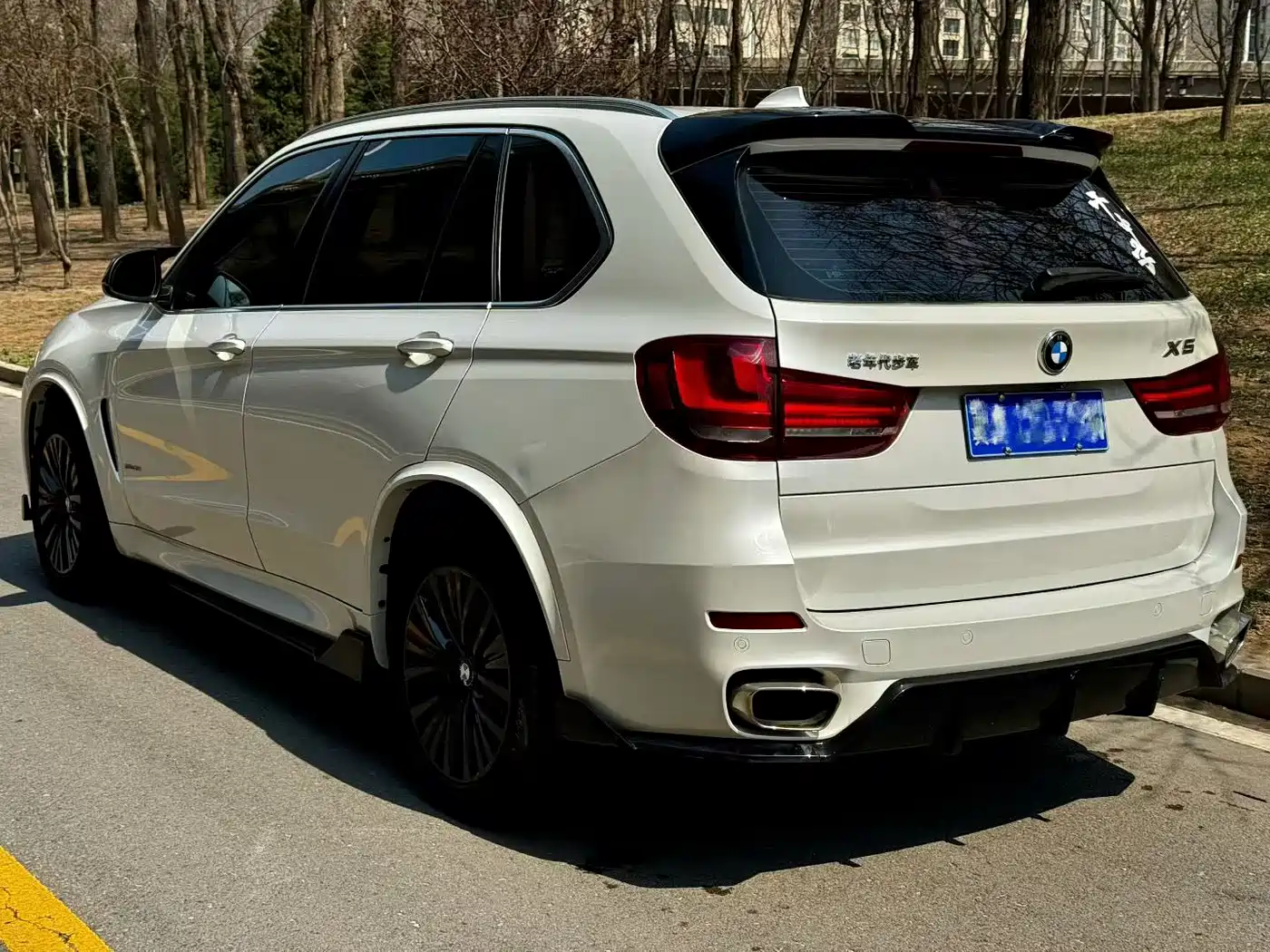 BMW X5 (Import) 2014 xDrive35i Leading фото 9