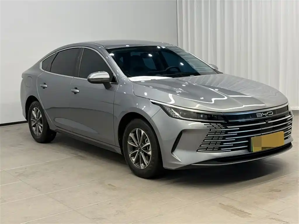 BYD Destroyer 05 2024 Glory Edition DM-i 55KM Luxury фото 8