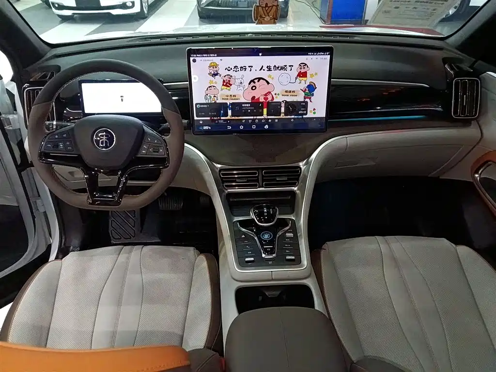 BYD Song Pro New Energy 2023 Champion Edition DM-i 110KM Excellence фото 10