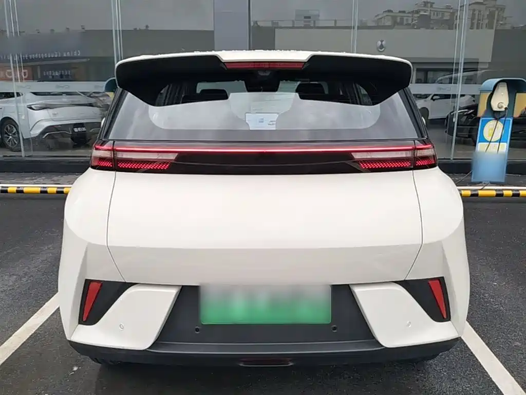 BYD Seagull 2025 Smart Drive Edition 305km Freedom Version фото 6