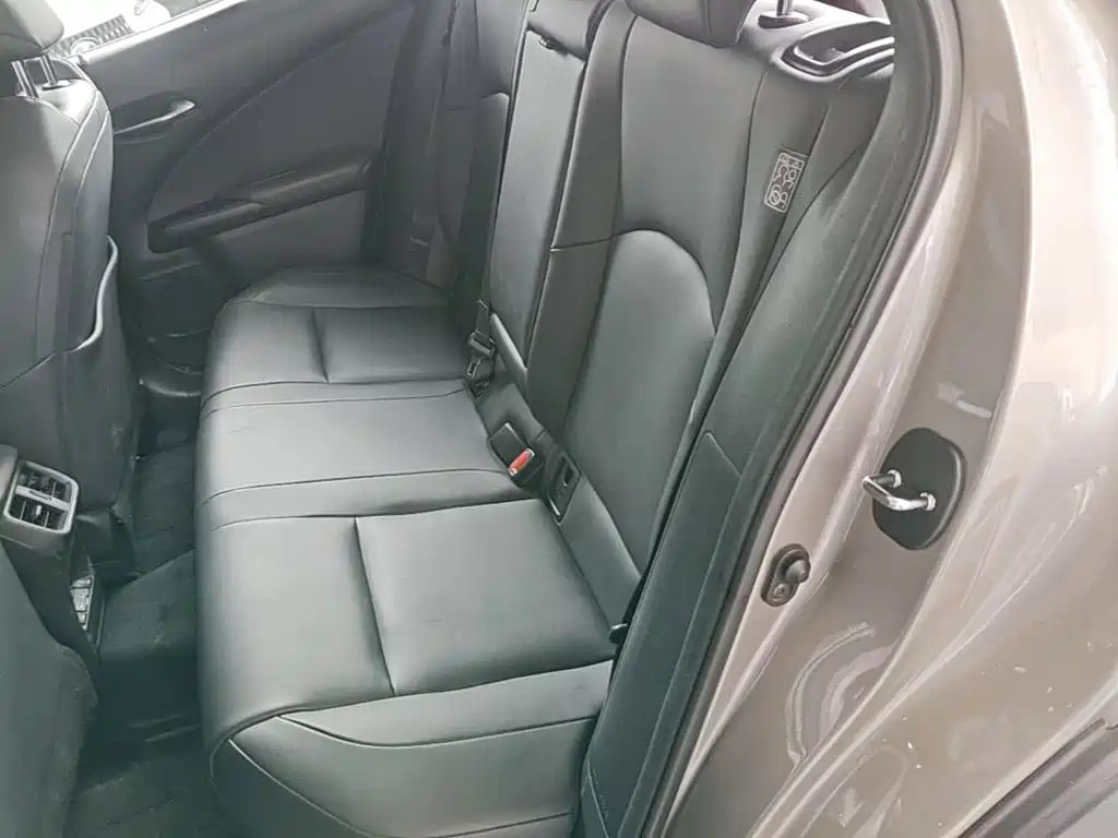 Lexus UX Electric 2021 2020 300e Pure Yue Edition