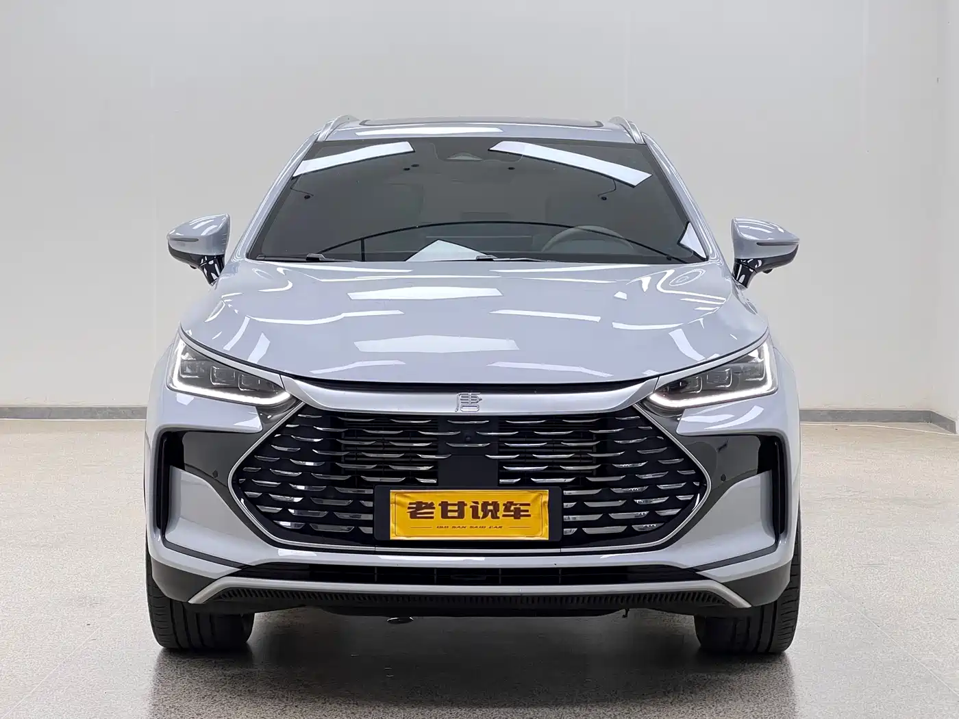 BYD Tang New Energy 2024 DM-i Honor Edition 112KM Premium фото 2