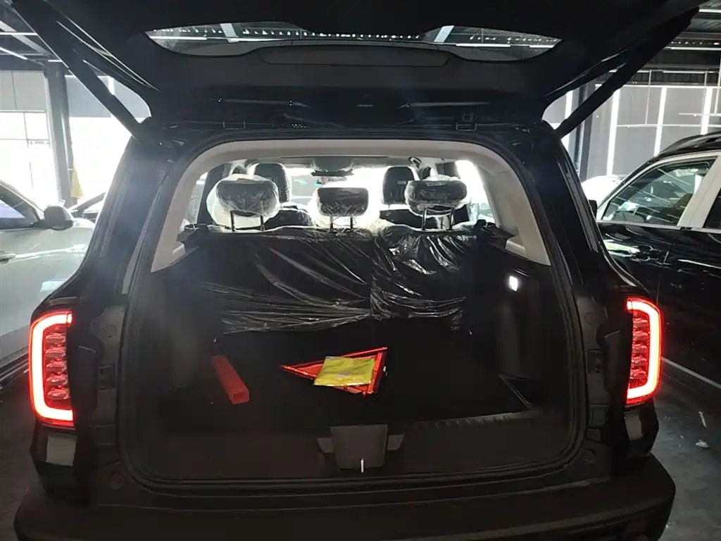 Haval Big Dog 2026 Model 1.5T High Configuration фото 19