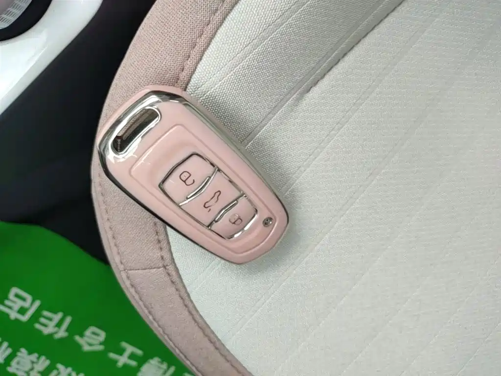 Geely Galaxy Panda 2025 Panda mini 210km Vitality Bear фото 9