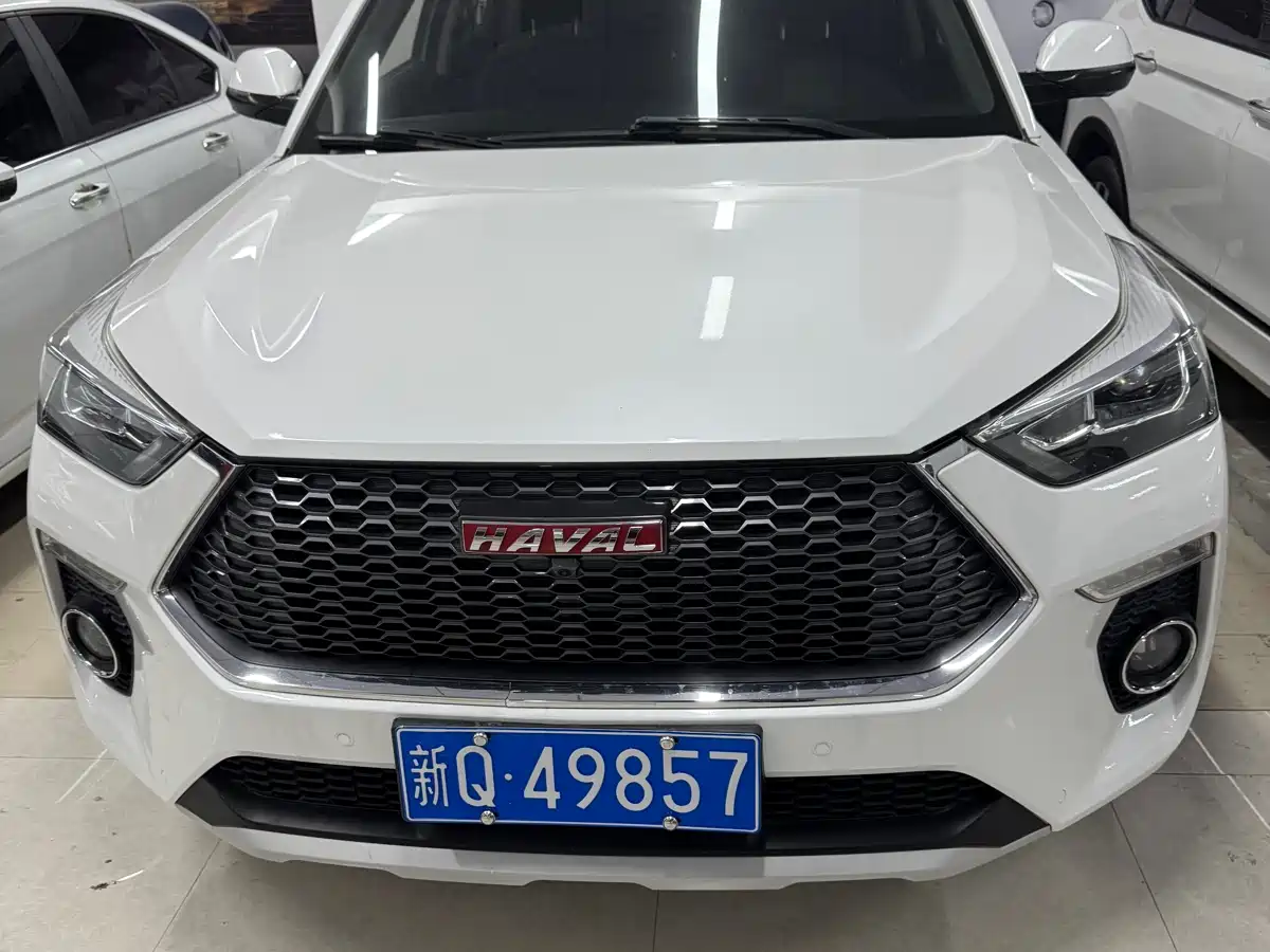 Haval H6 Coupe 2018 Red Label 1.5T Auto 2WD Ultra Luxury фото 2
