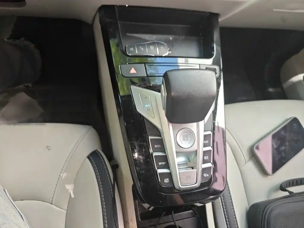 BYD Yuan Pro 2022 2021 401KM Luxury Model