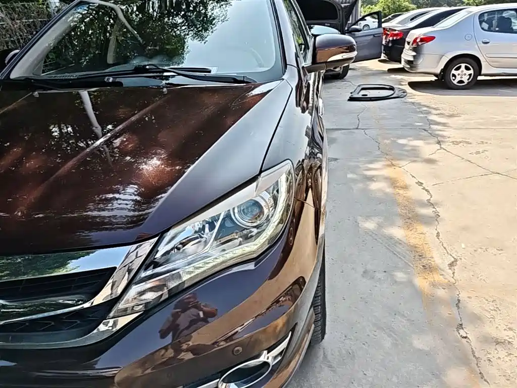 BYD S7 2016 2.0T Auto Premium Plus фото 24