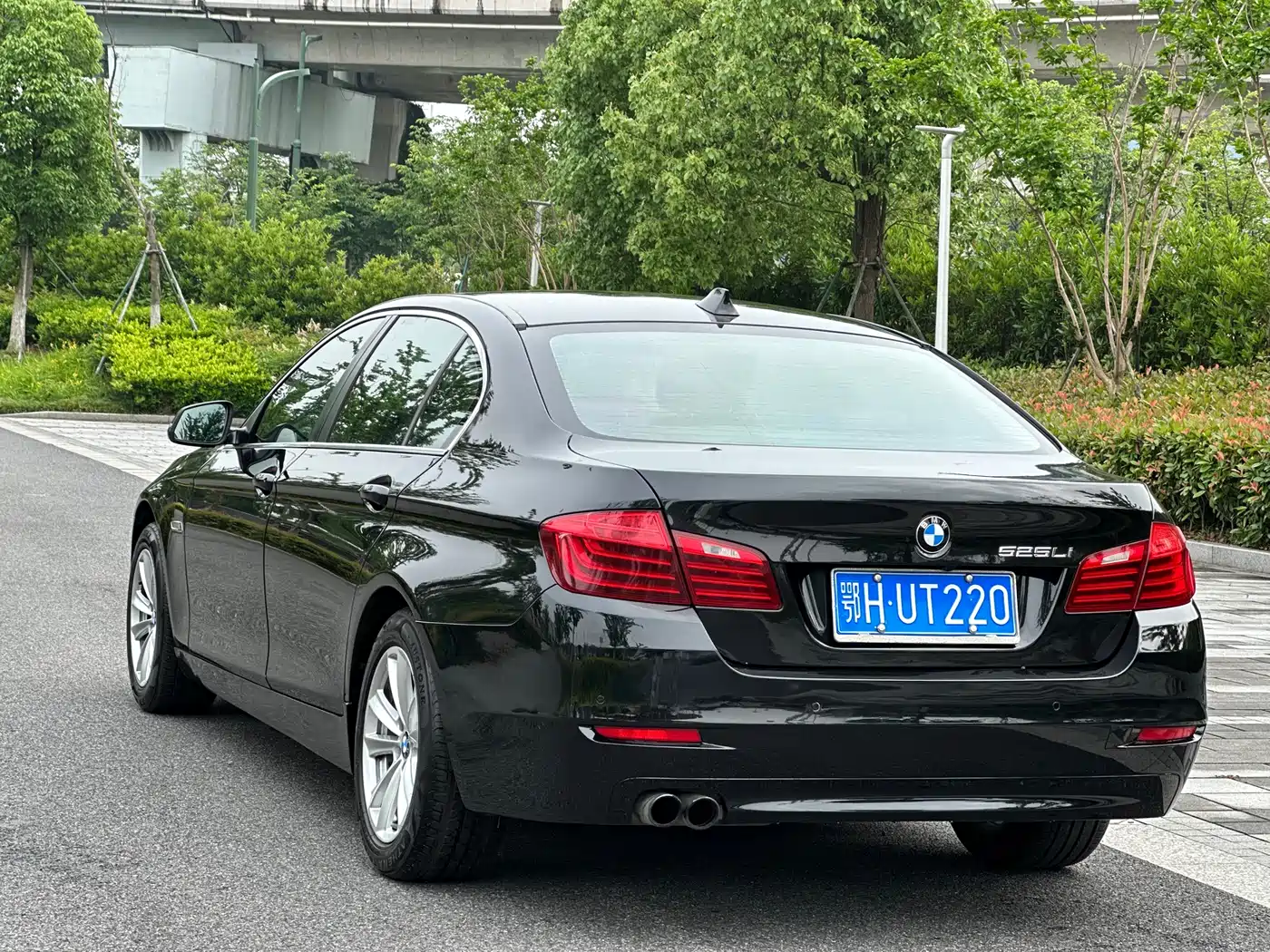 BMW 5 Series 2014 520Li Elegance фото 4