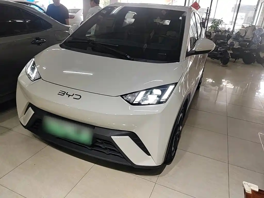 BYD Seagull 2024 — пригон из Китая