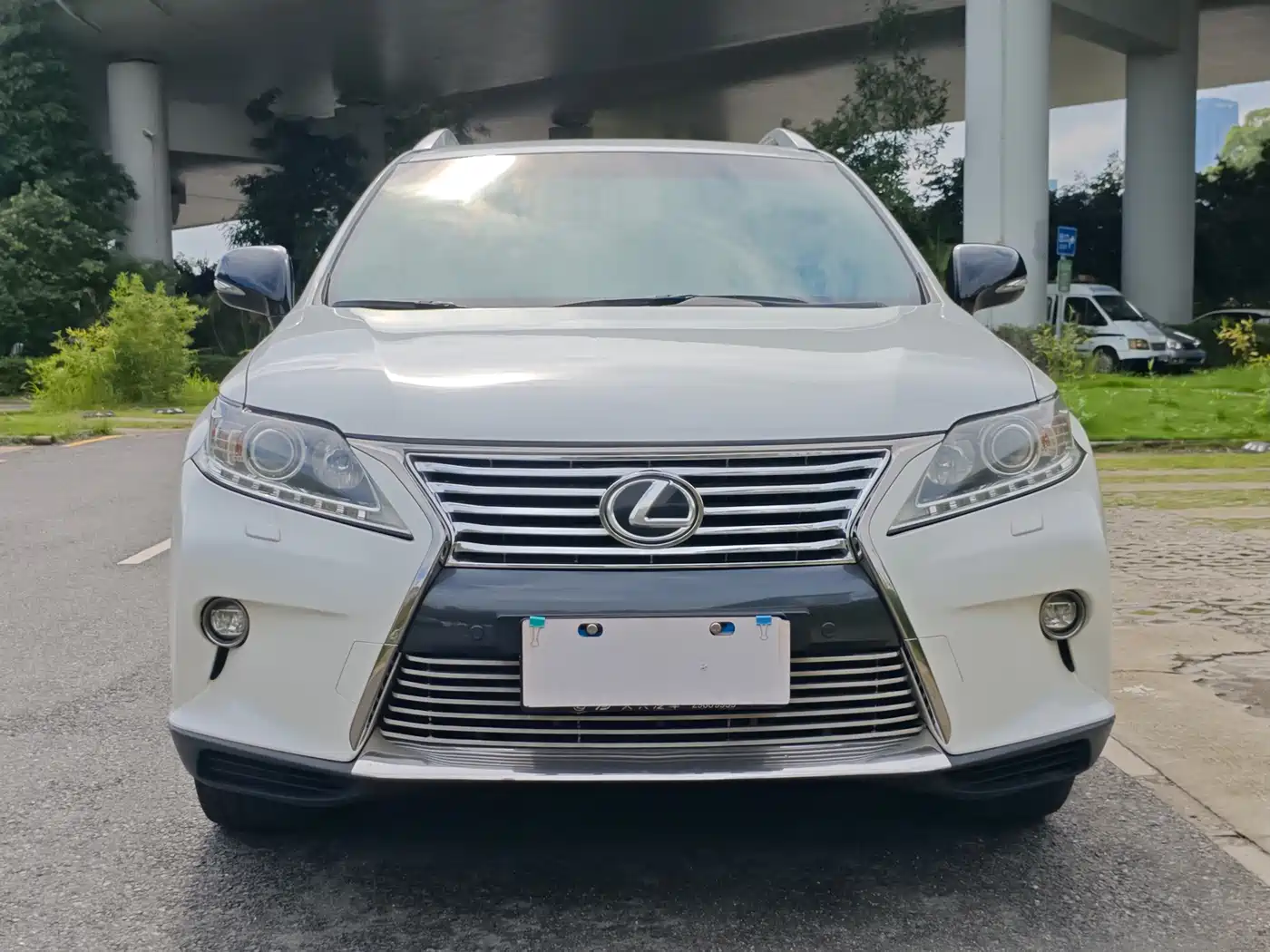 Lexus RX Classic 2014 270 Special Limited Edition фото 2