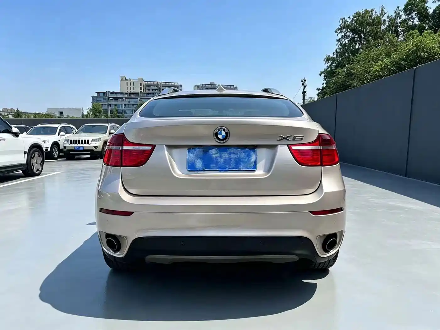 BMW X6 2010 2011 xDrive35i