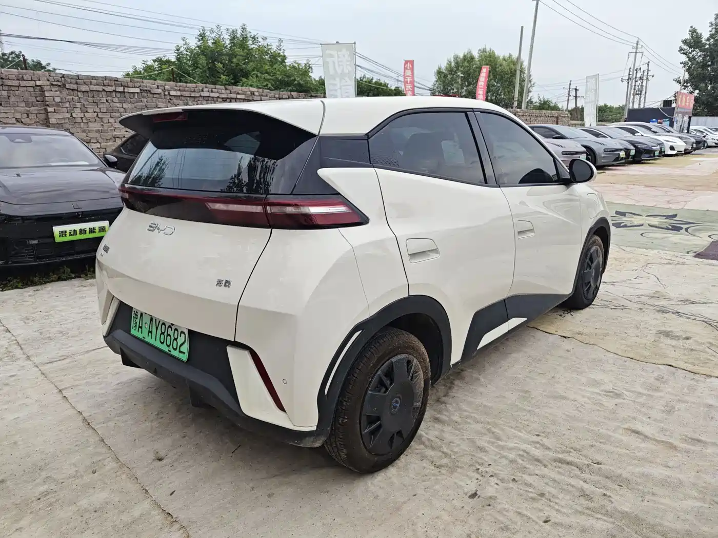 BYD Seagull 2024 Glory Edition 305km Freedom Edition фото 6