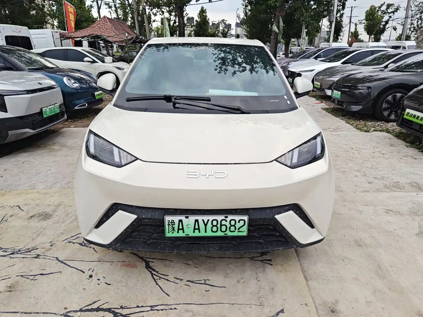 BYD Seagull 2024 Glory Edition 305km Freedom Edition фото 2