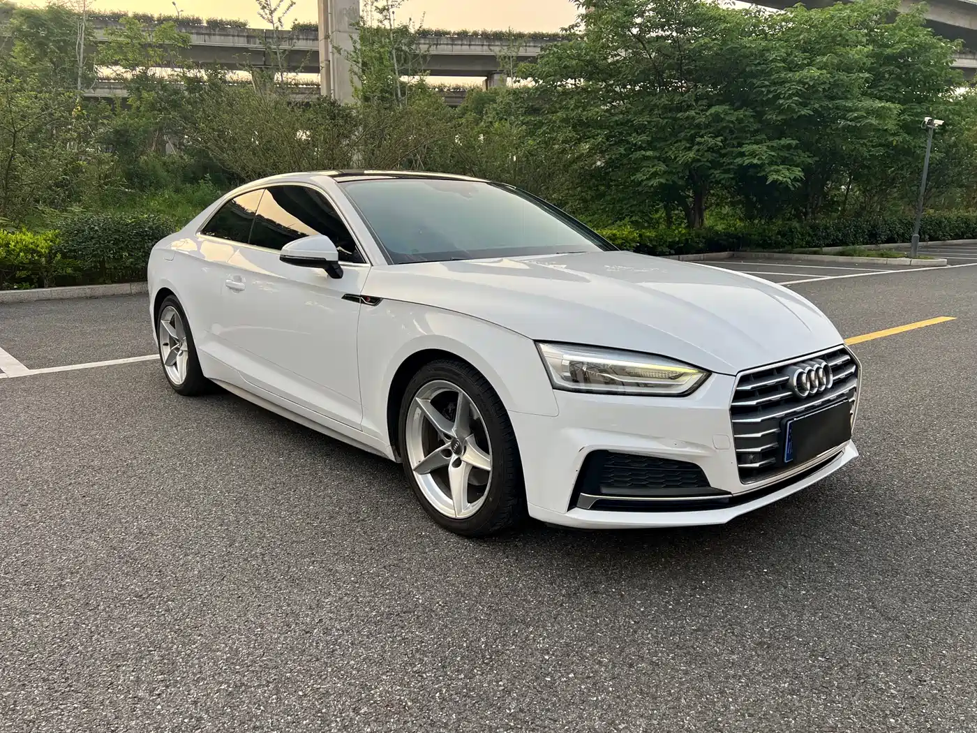 Audi A5 (Import) 2017 Coupe 40 TFSI Style фото 3