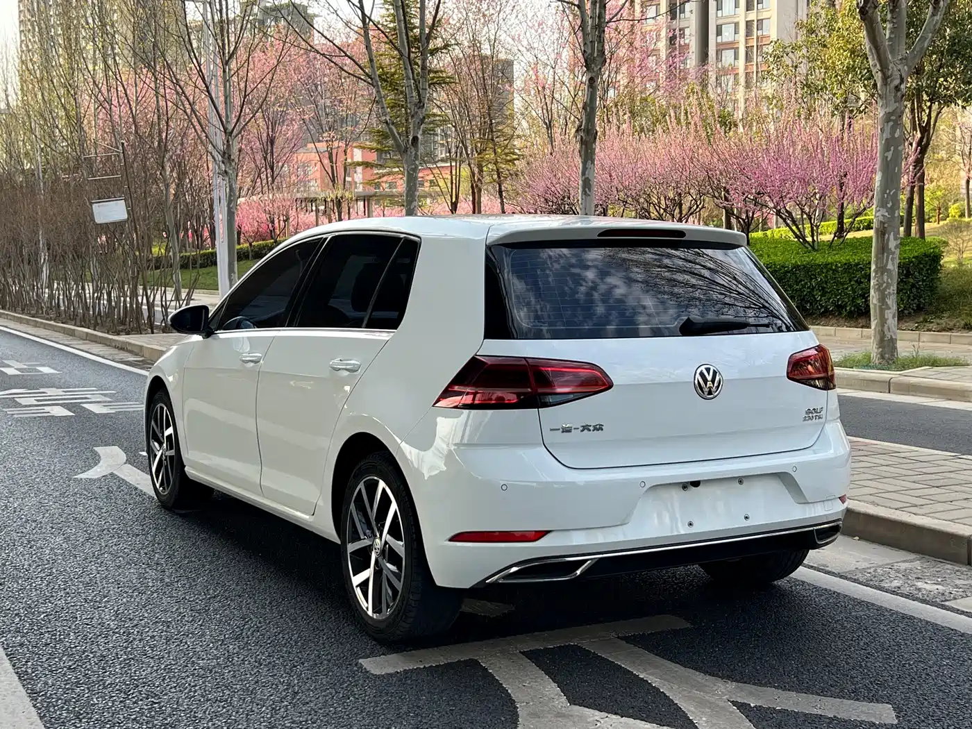 Volkswagen Golf 2018 230TSI Automatic Luxury фото 4