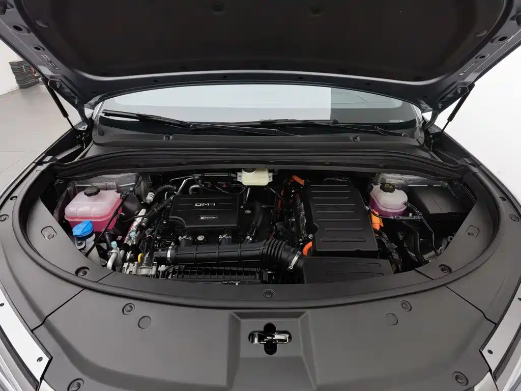 BYD Song L DM-i, миниатюра 6