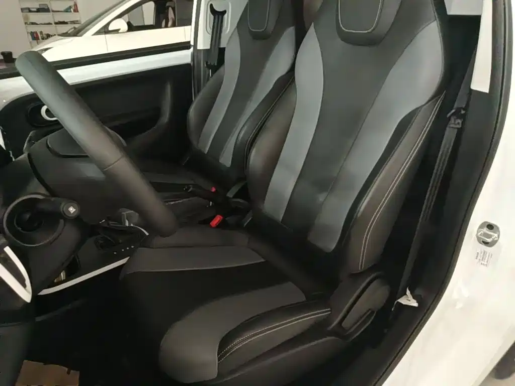 Roewe Kaiwei CLEVER 2023 2022 311km Vitality Bobo Edition