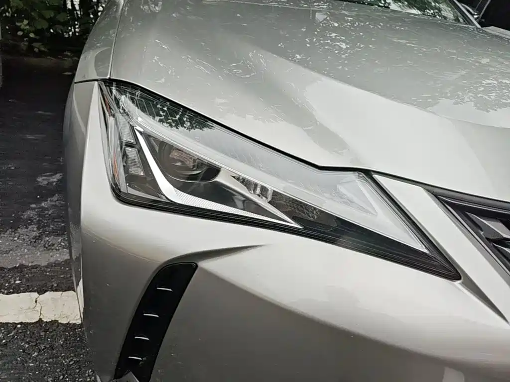 Lexus UX Electric 2021 2020 300e Pure Yue Edition
