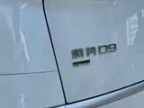 Фото 25 - Denza D9