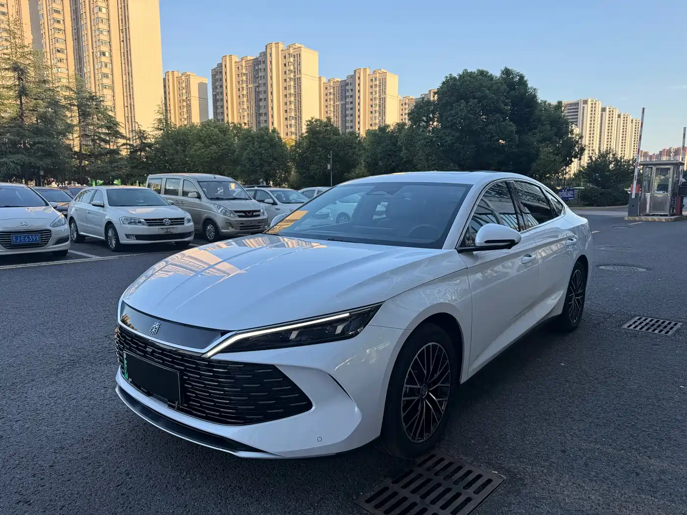 BYD Qin L 2024 — пригон из Китая