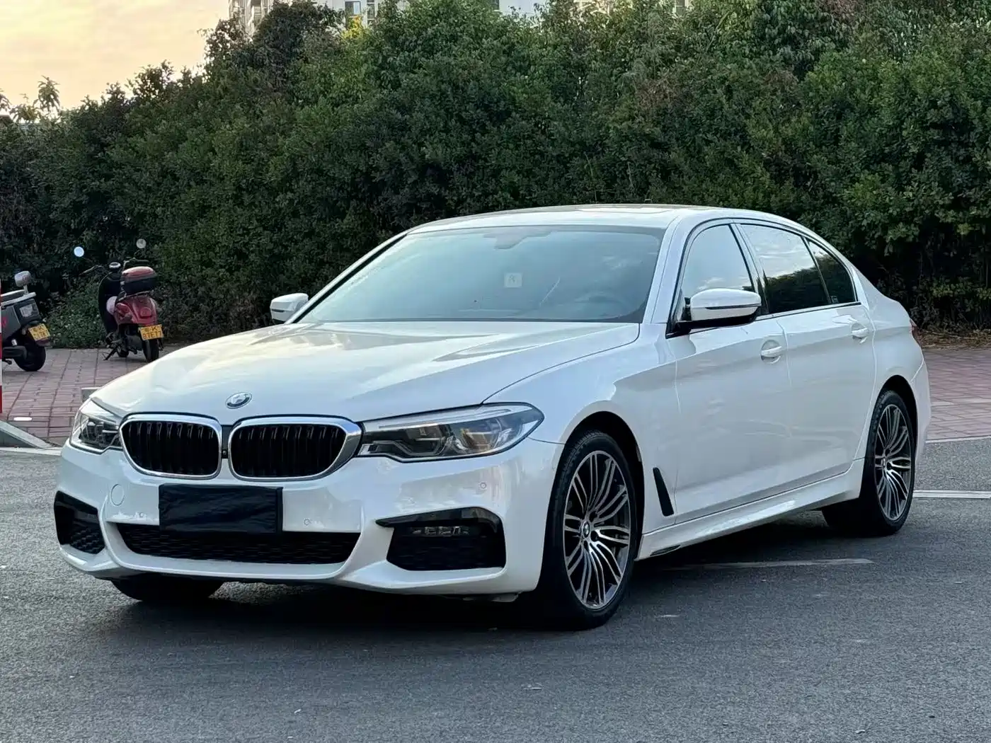 BMW 5 Series 2019 530Li Premium M Sport Package