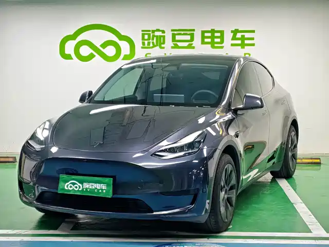 Tesla Model Y 2024 Rear-Wheel Drive Version — фото 1