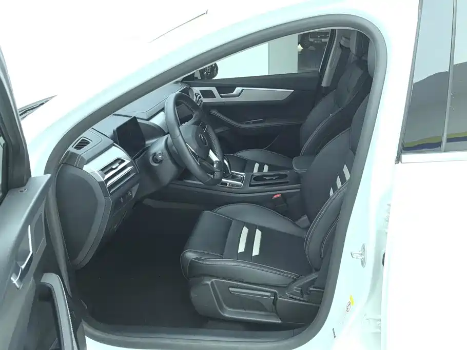 BYD Qin Pro 2021 2020 Surpass Edition 1.5TI Automatic Premium