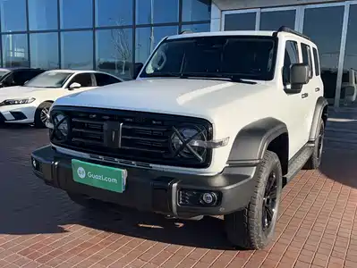 Tank 300
