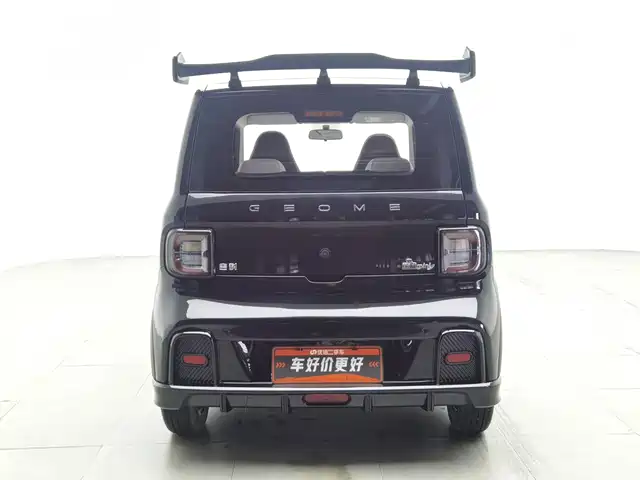 Geely Galaxy Panda 2025 Model Year 210km Panda Kart — фото 4
