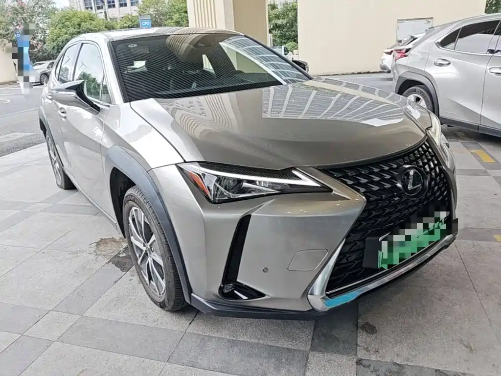 Lexus UX Electric 2021 2020 300e Pure Yue Edition