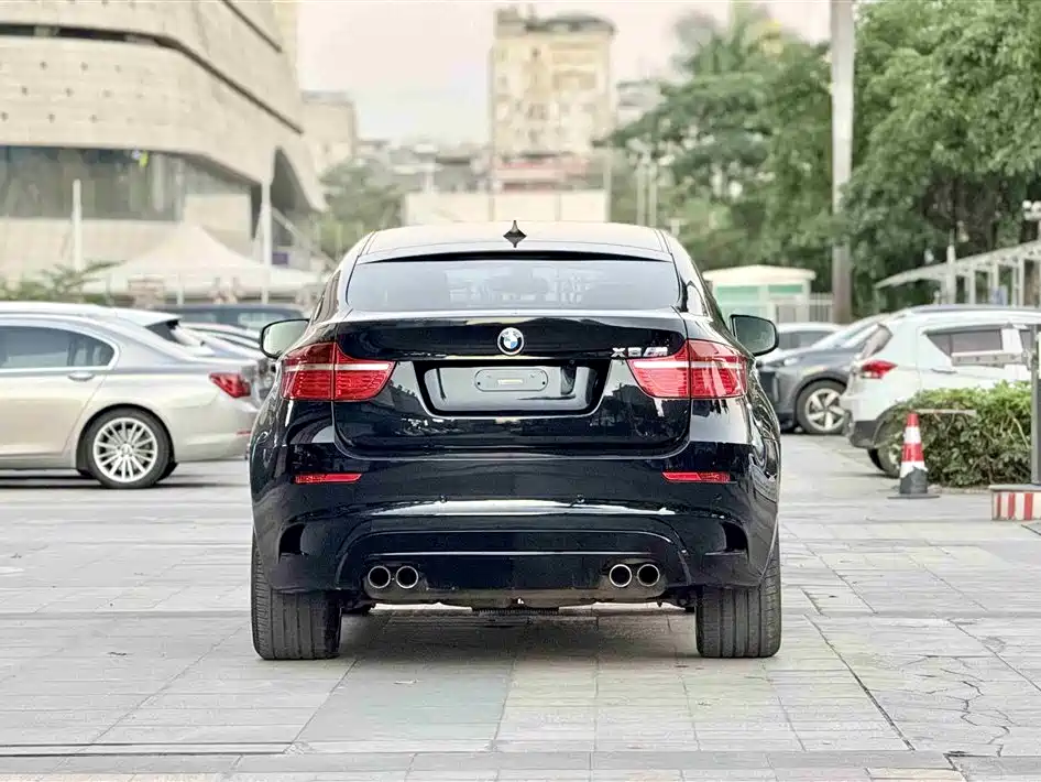 BMW X6 M 2010 X6 M фото 4