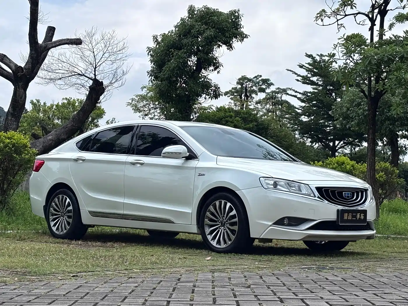 Фото 4 - Geely Borui