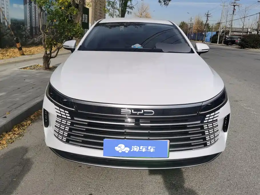 BYD DESTROYER 05