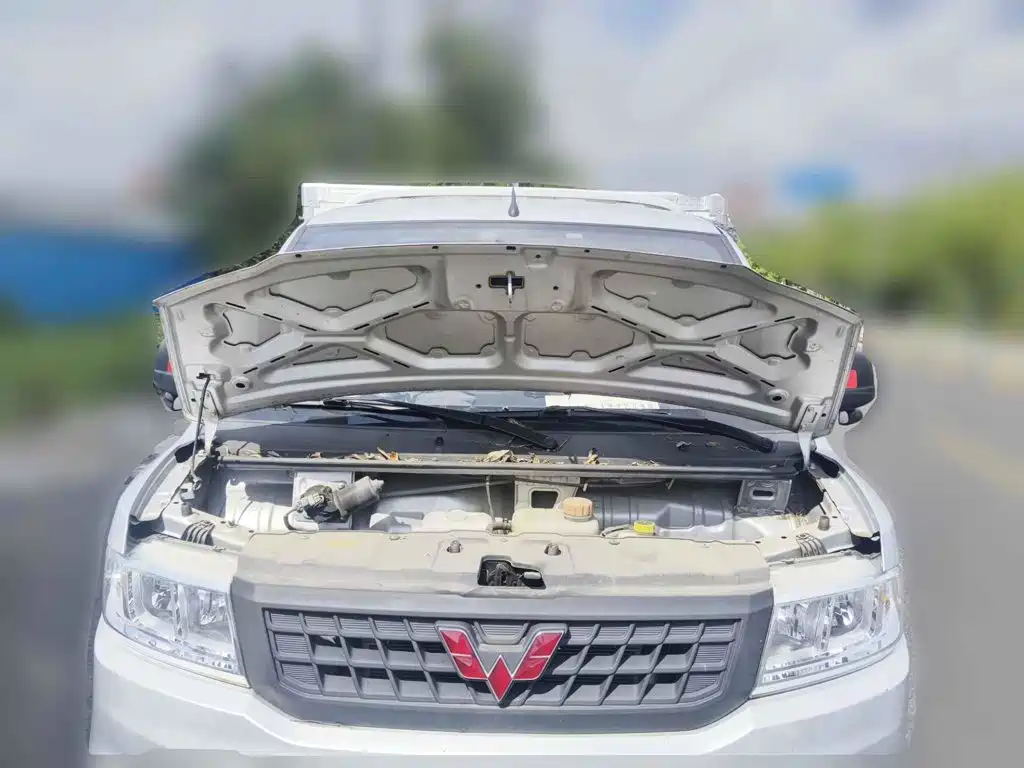 2024 Wuling Motors Wuling Rongguang New Truck